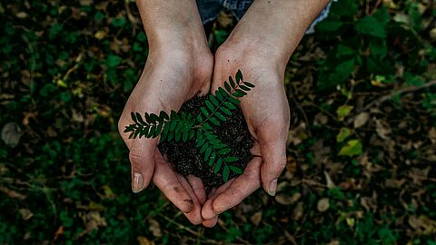 Digitaler ESG-Schuldschein für die Felix Schoeller Group