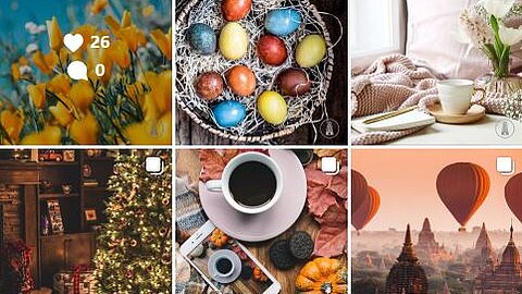 Kennen Sie schon unseren Instagram Account? Insta Feed, 6 verschiedene Beiträge