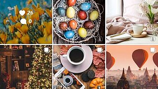 Insta Feed, 6 verschiedene Beiträge