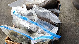 Plastic packaging