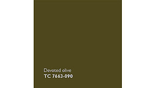 Devoted Olive Quadrat