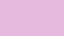 Square Desert Rose