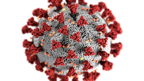 Coronavirus - Information zur aktuellen Liefersituation Coronavirus - Information zur aktuellen Liefersituation